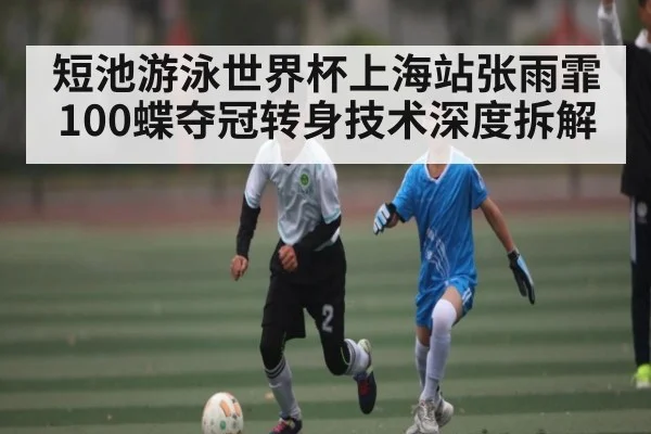 短池游泳世界杯上海站张雨霏100蝶夺冠转身技术深度拆解