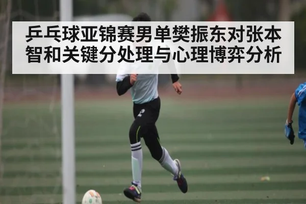 乒乓球亚锦赛男单樊振东对张本智和关键分处理与心理博弈分析