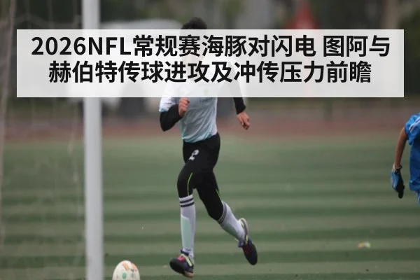 2026NFL常规赛海豚对闪电 图阿与赫伯特传球进攻及冲传压力前瞻
